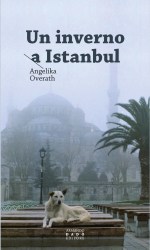 Cop. Un inveno a Istanbul(2)